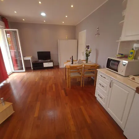 In With Balcony, Air Conditioning, W-lan, Washing Machine 5116-2 Rovinj
